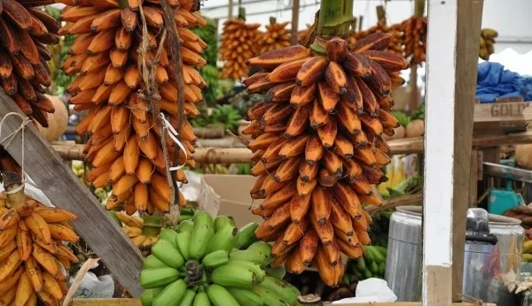 image_2026-02-12_11-09-58