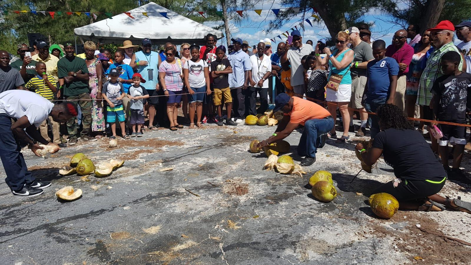 image_2026-02-12_11-39-32