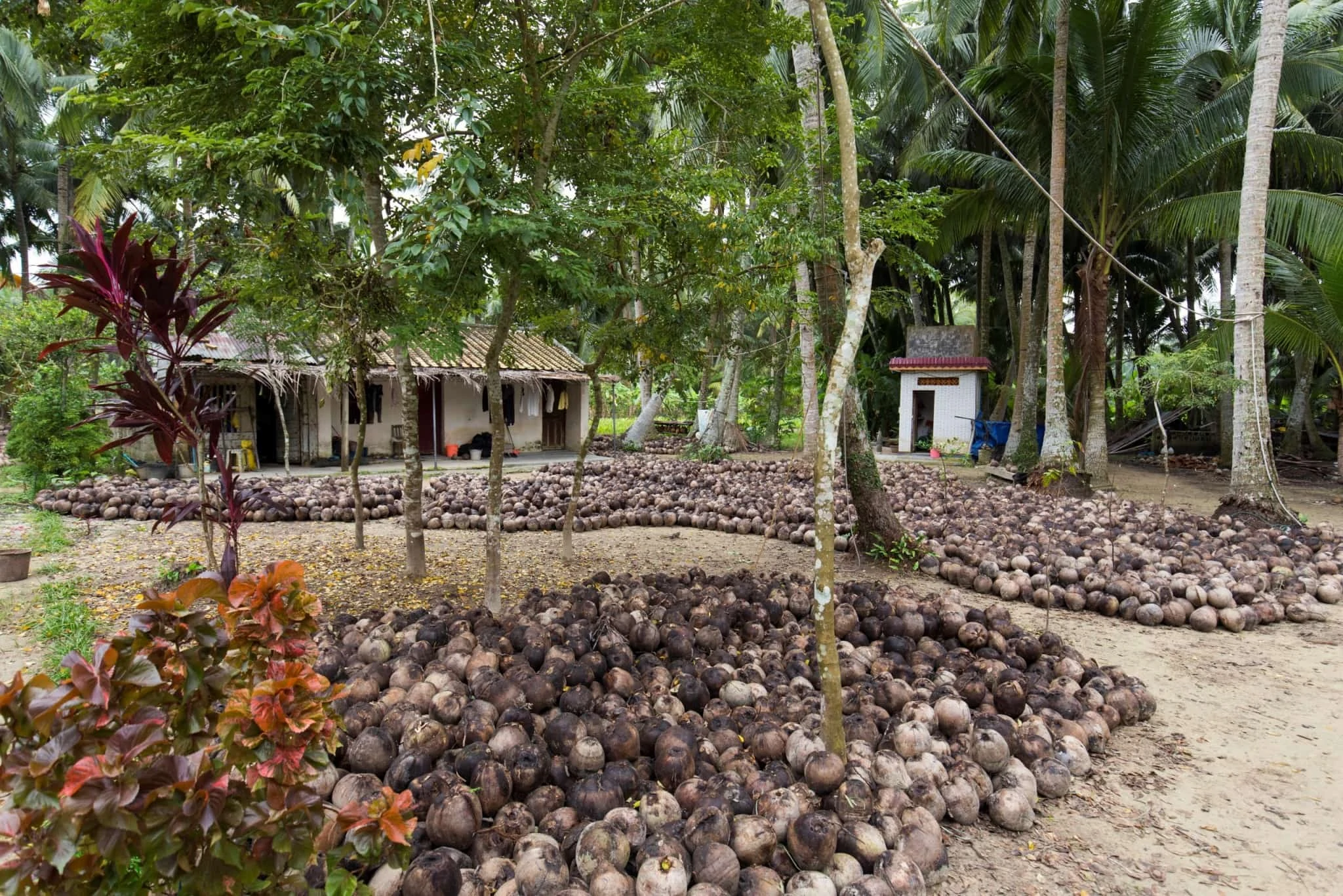 image_2026-02-12_11-47-27