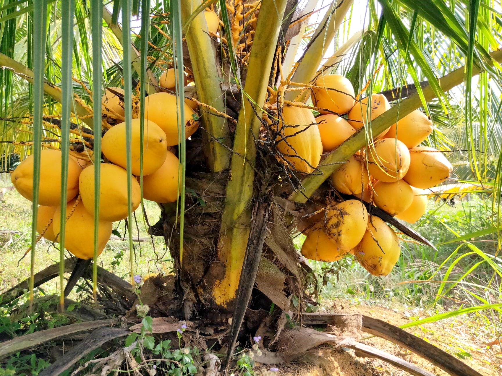 image_2026-02-12_11-58-09