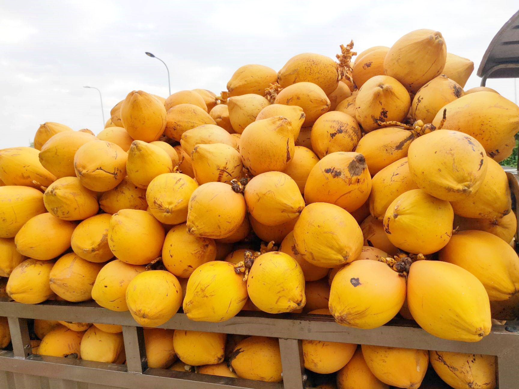 image_2026-02-12_11-58-38