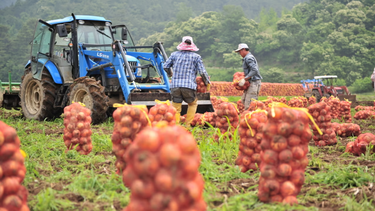 image_2026-02-12_12-08-29