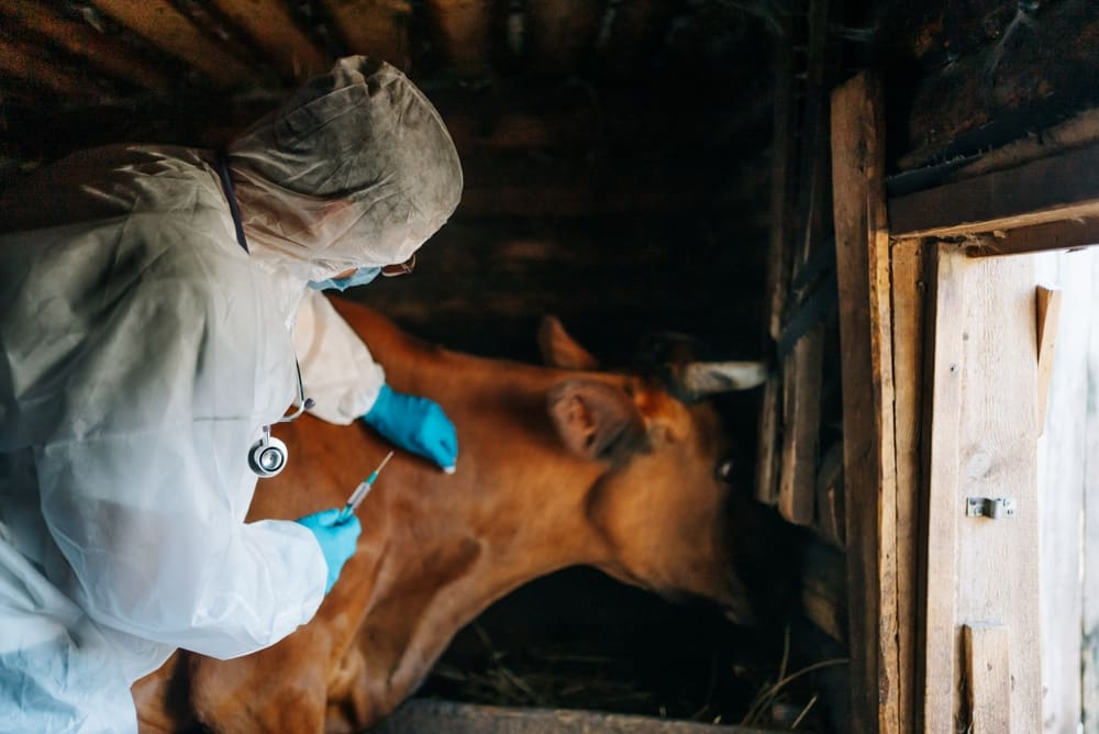 image_2026-02-12_13-02-51