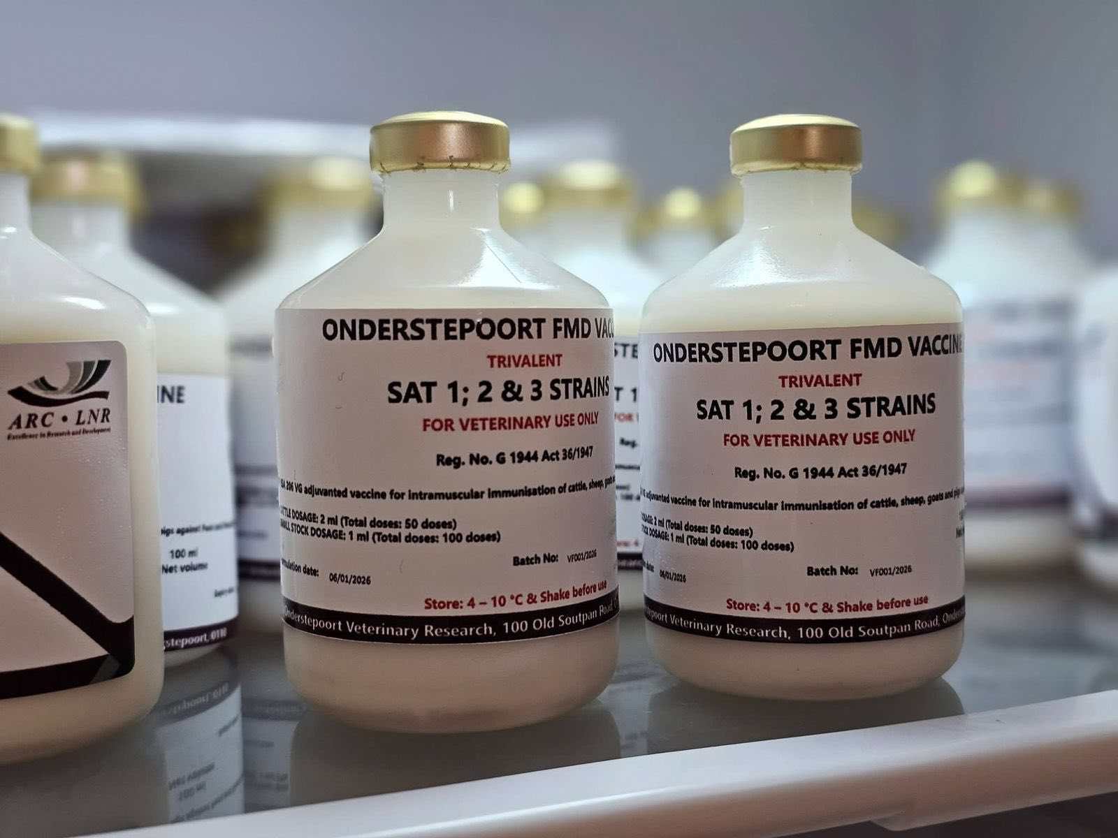 image_2026-02-12_13-09-40