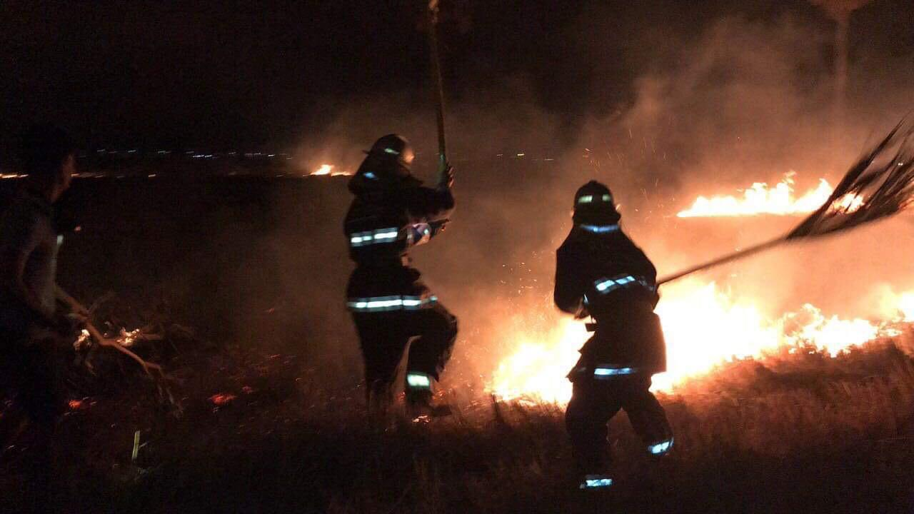 image_2026-02-13_13-17-47