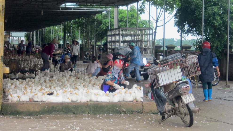 image_2026-02-16_13-11-49