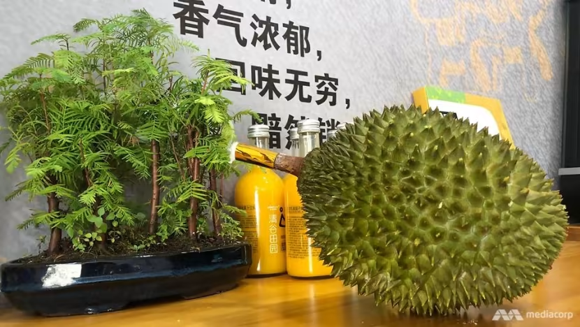 image_2026-02-23_07-31-30