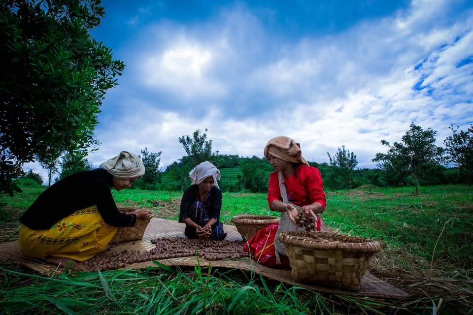 image_2026-02-23_07-57-39