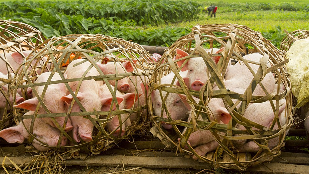 image_2026-02-24_08-11-52