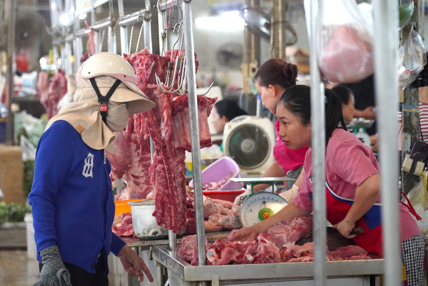 image_2026-02-24_08-26-40