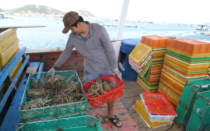 image_2026-02-26_07-30-30