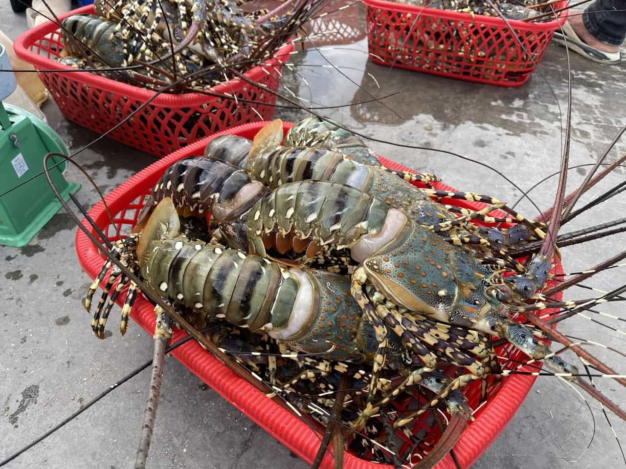 image_2026-02-26_07-34-16