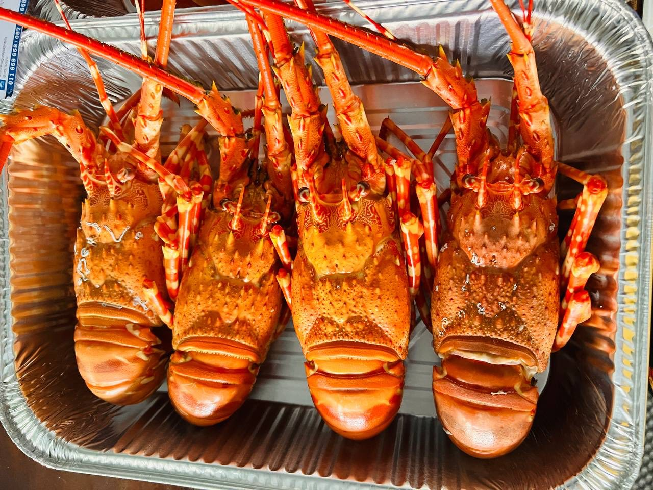 image_2026-02-26_07-51-06