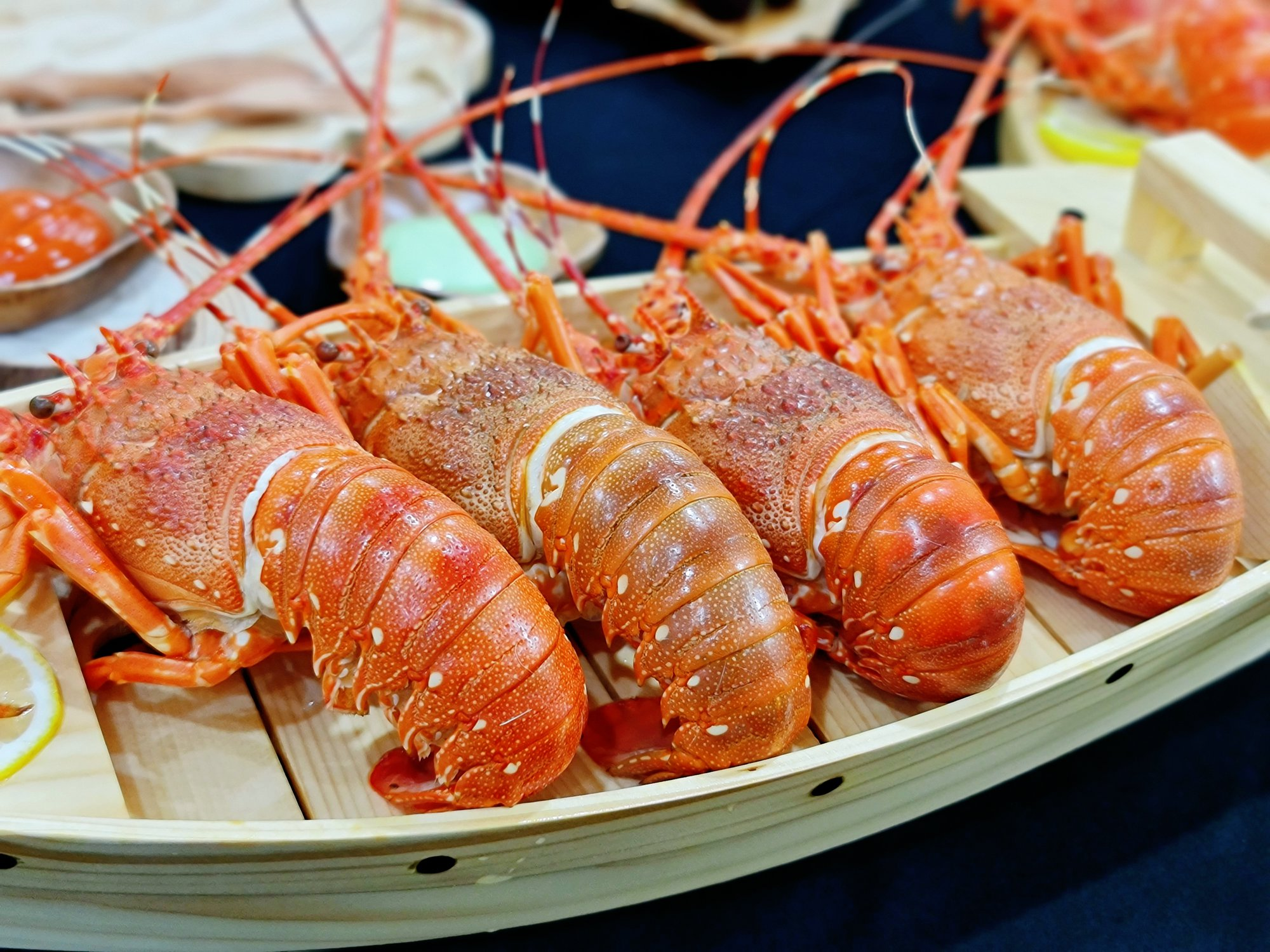 image_2026-02-26_07-52-16