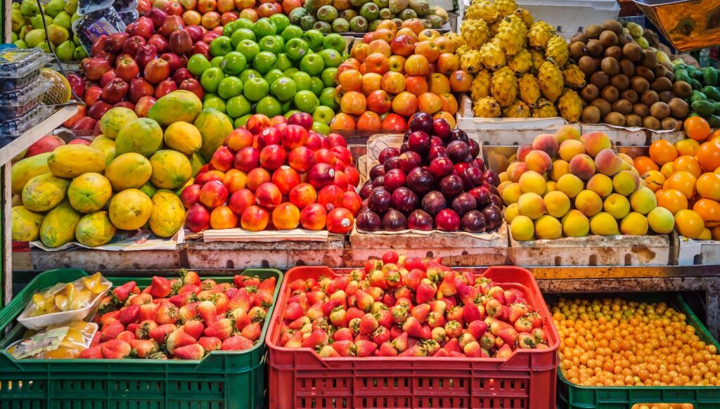 image_2026-02-26_08-13-45