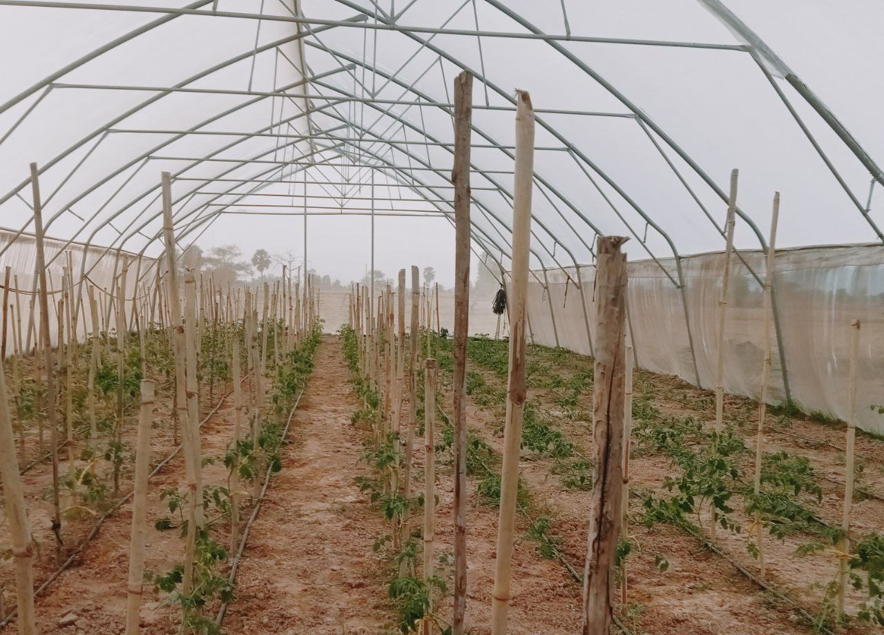 photo_2026-01-22_17-14-45