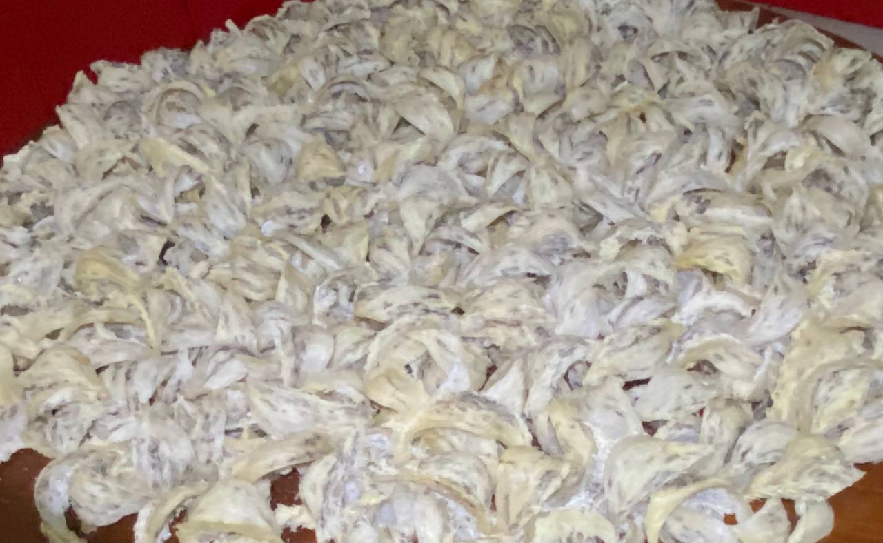 photo_2026-01-28_15-05-36