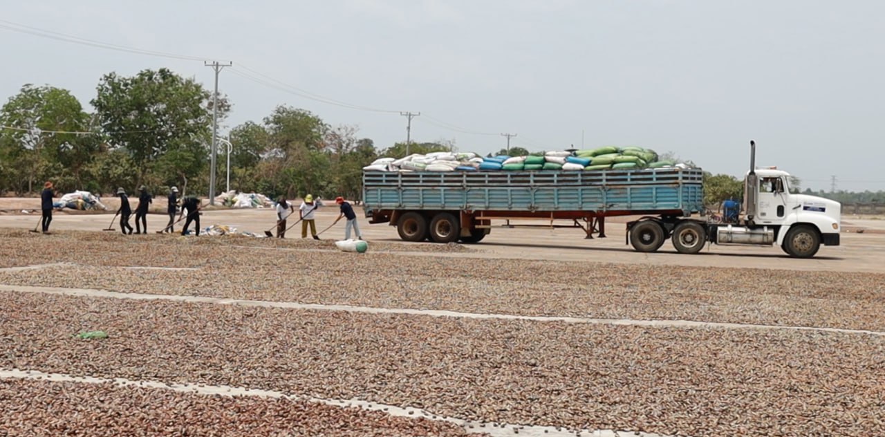 photo_2026-02-03_08-02-32