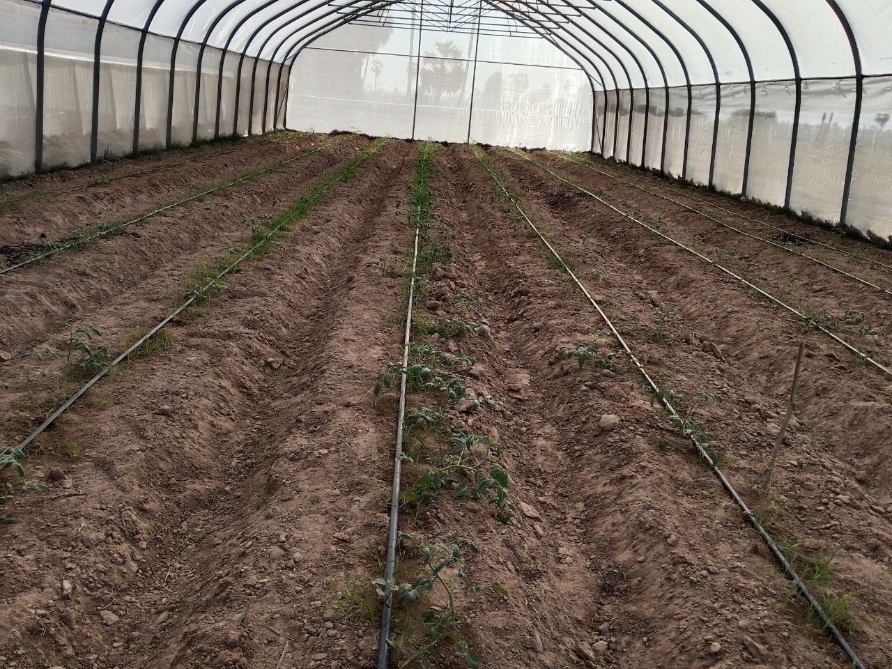 photo_2026-02-04_08-21-29