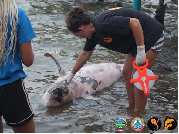 photo_2026-02-05_14-50-22