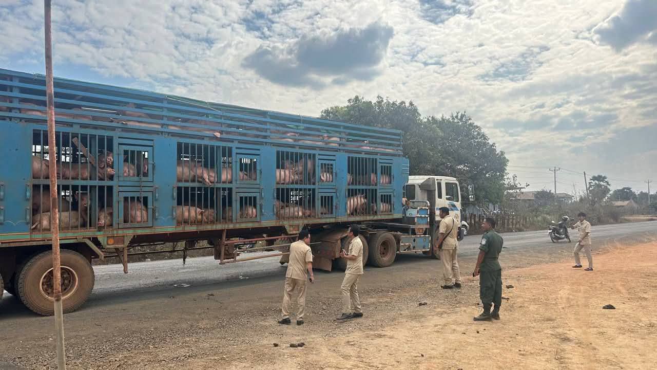 photo_2026-02-06_07-06-36 (3)