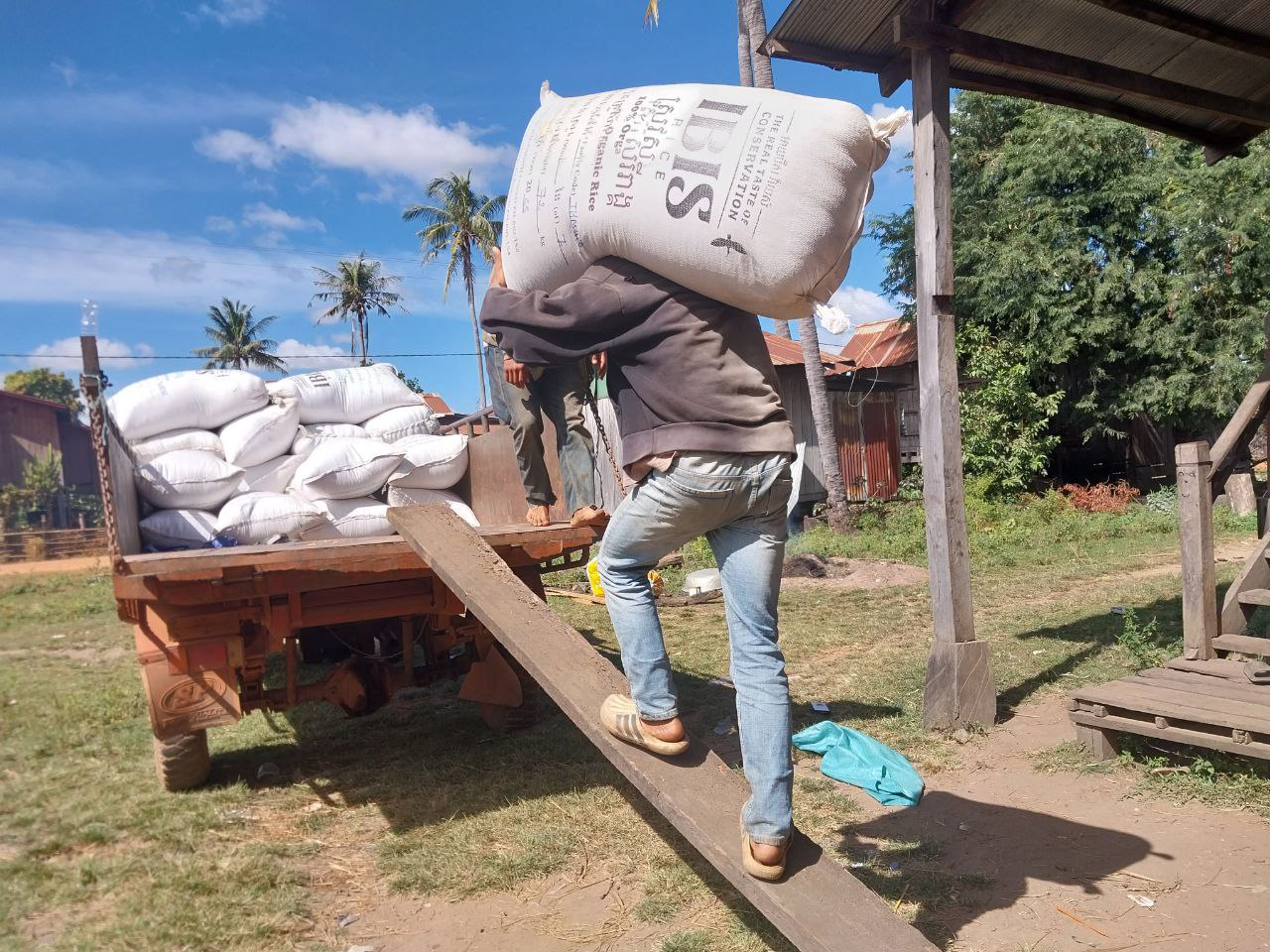 photo_2026-02-19_09-00-11