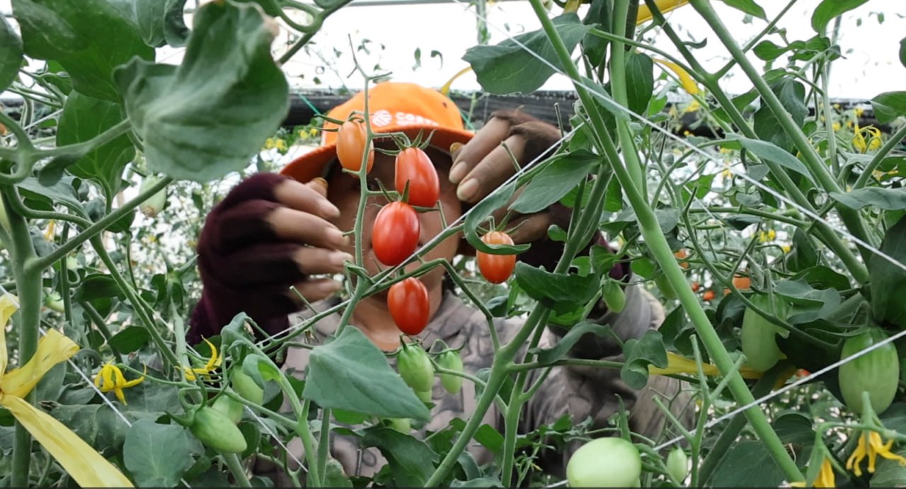 photo_2026-02-19_09-04-51