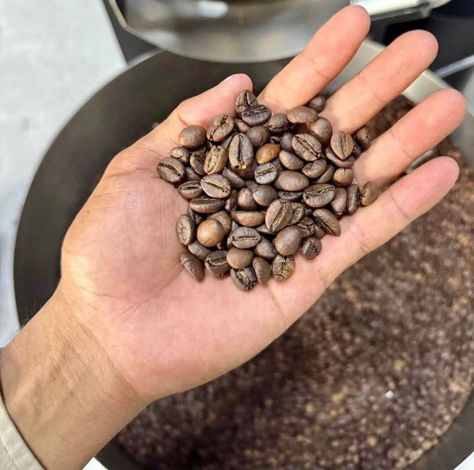 photo_2026-02-21_14-18-19