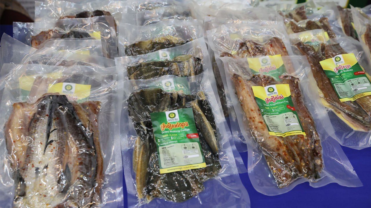 photo_2026-02-25_15-53-18 (7)