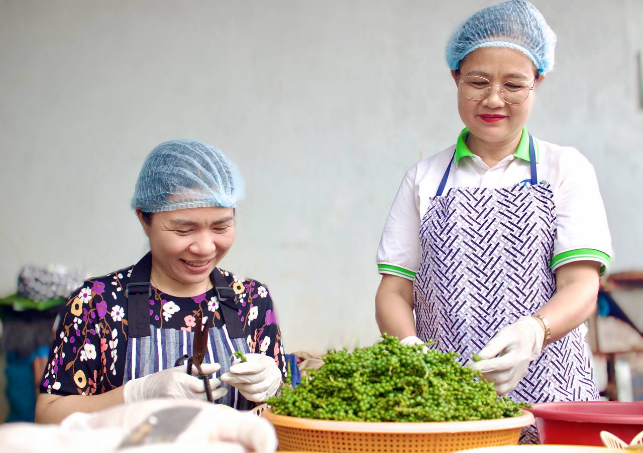 photo_2026-02-27_09-07-41 (3)