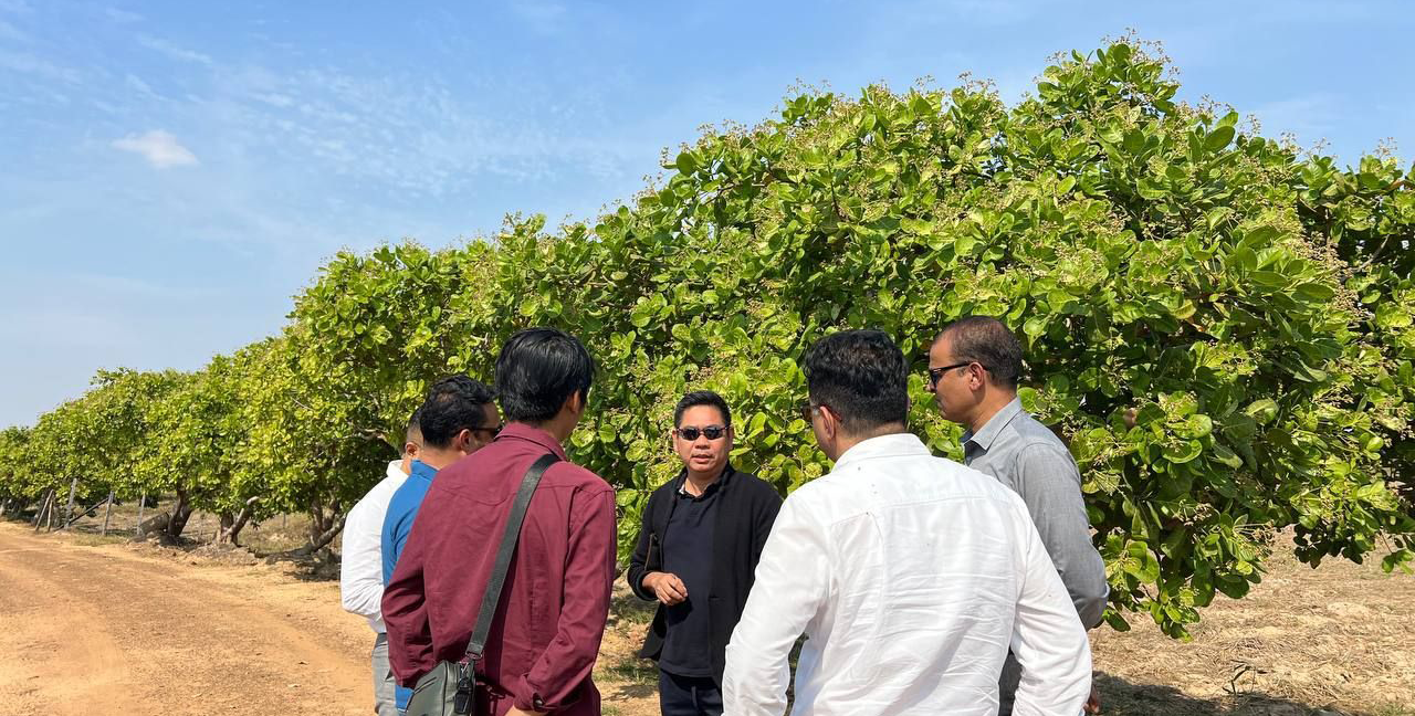 photo_2026_02_12_07_16_53_6b95d48719