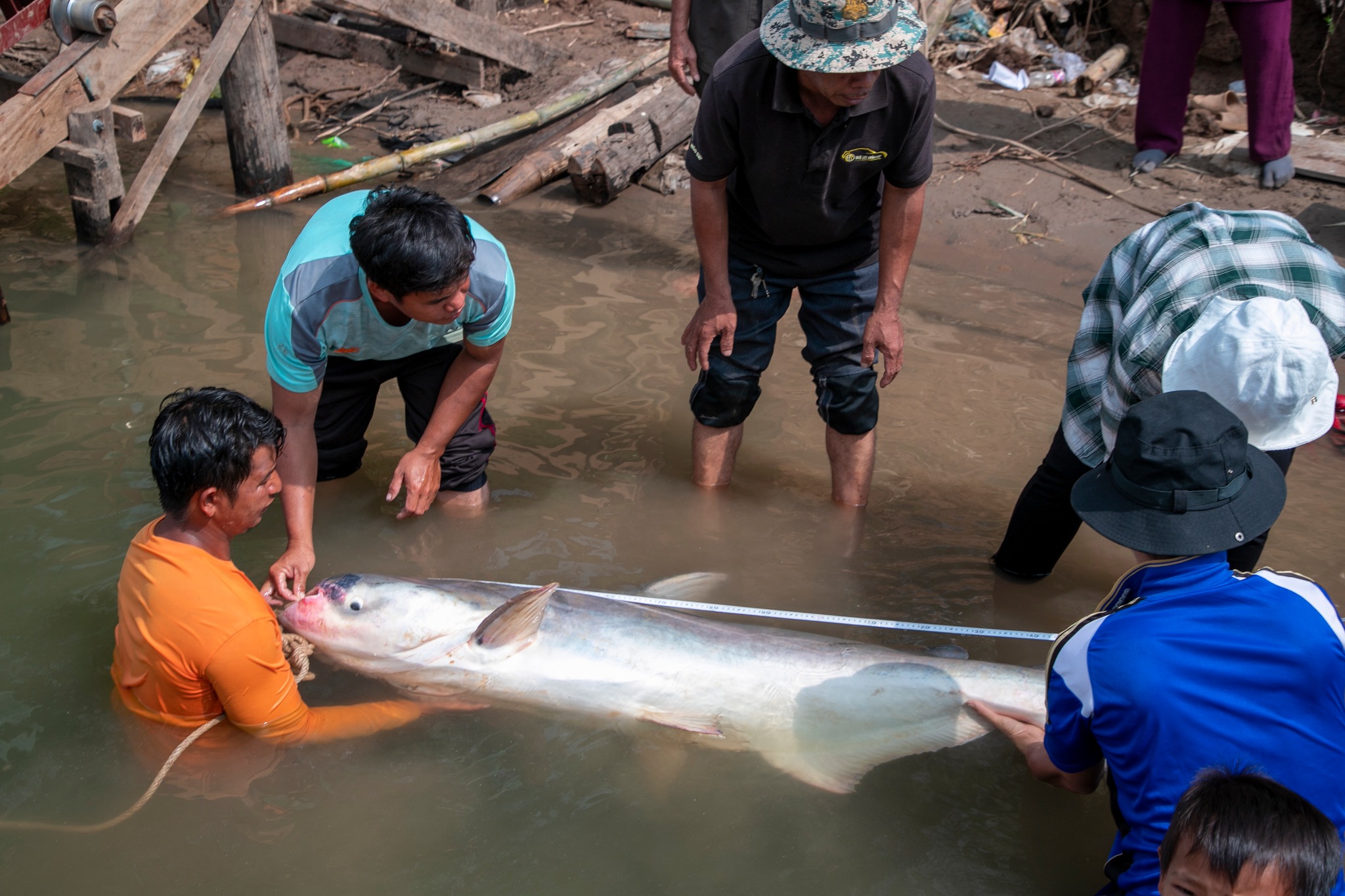 618376232_1200198018969363_8326035883941794212_n