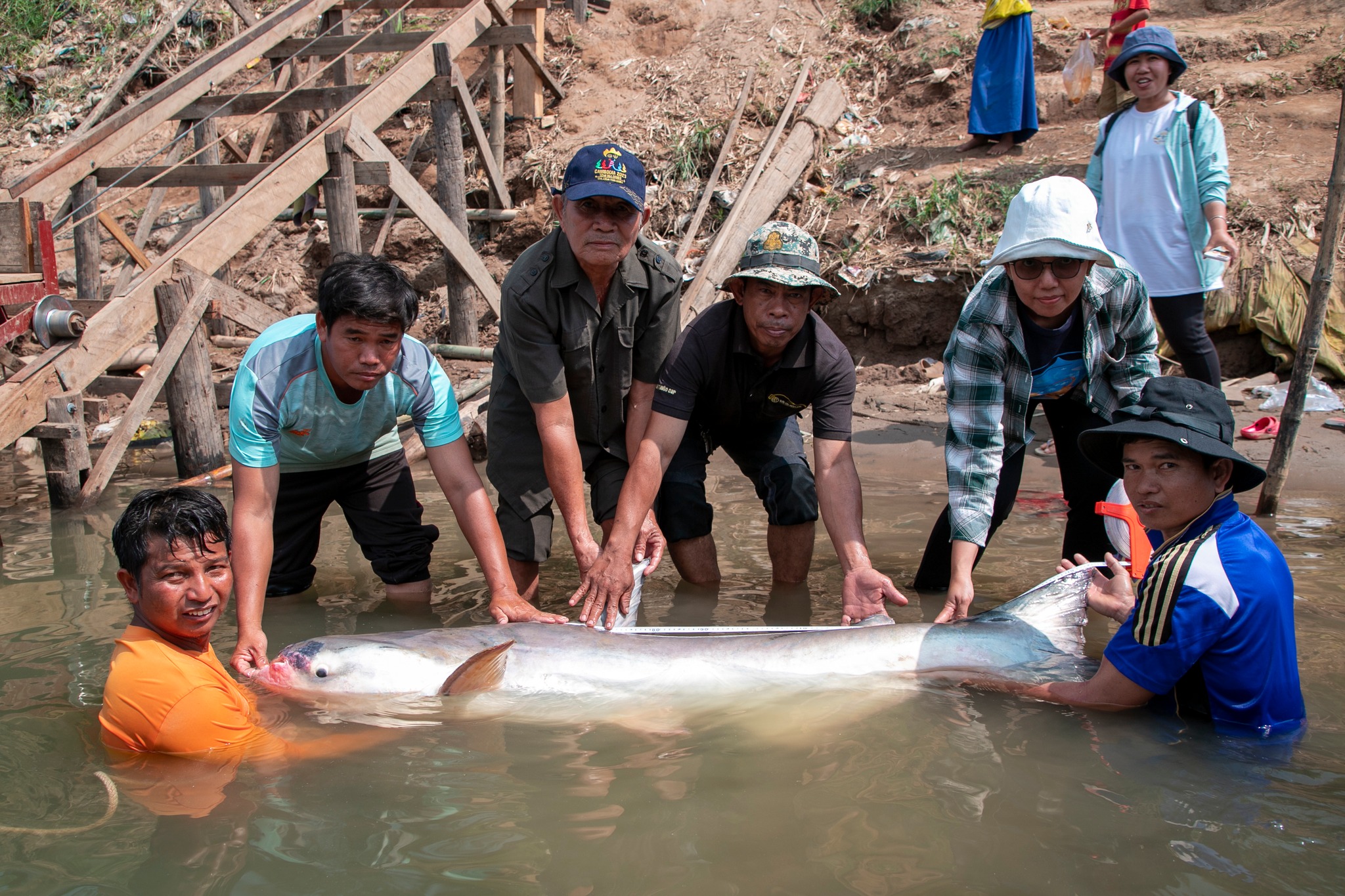 618964909_1200198345635997_7669985709854073381_n