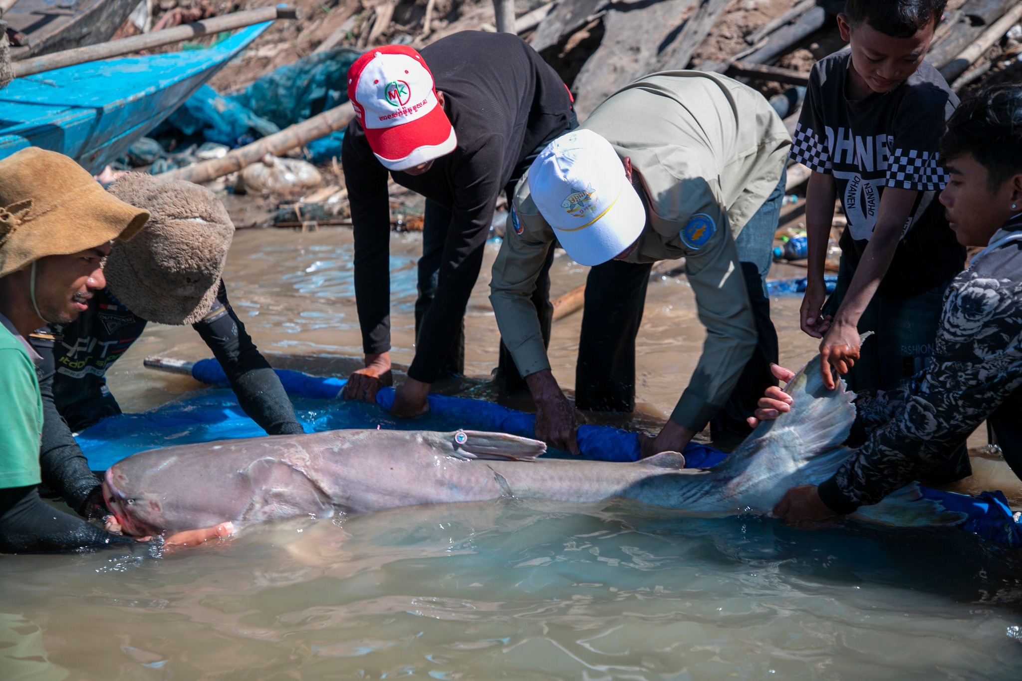 619336332_1200197042302794_5274054674855215040_n