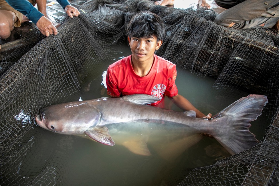 632731319_1216287214027110_6040275934637698523_n