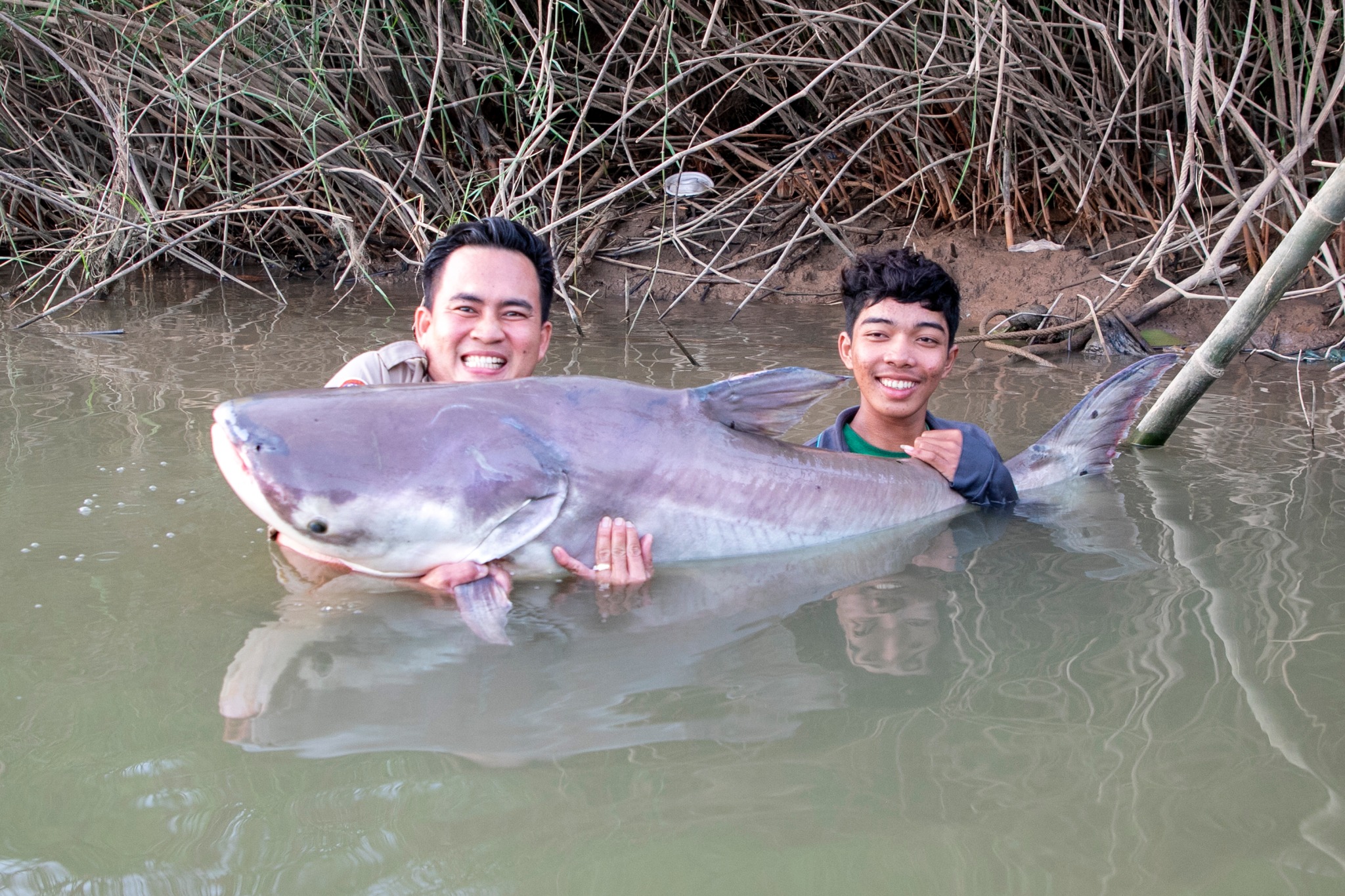 643363859_1229077702748061_2024767222027835222_n