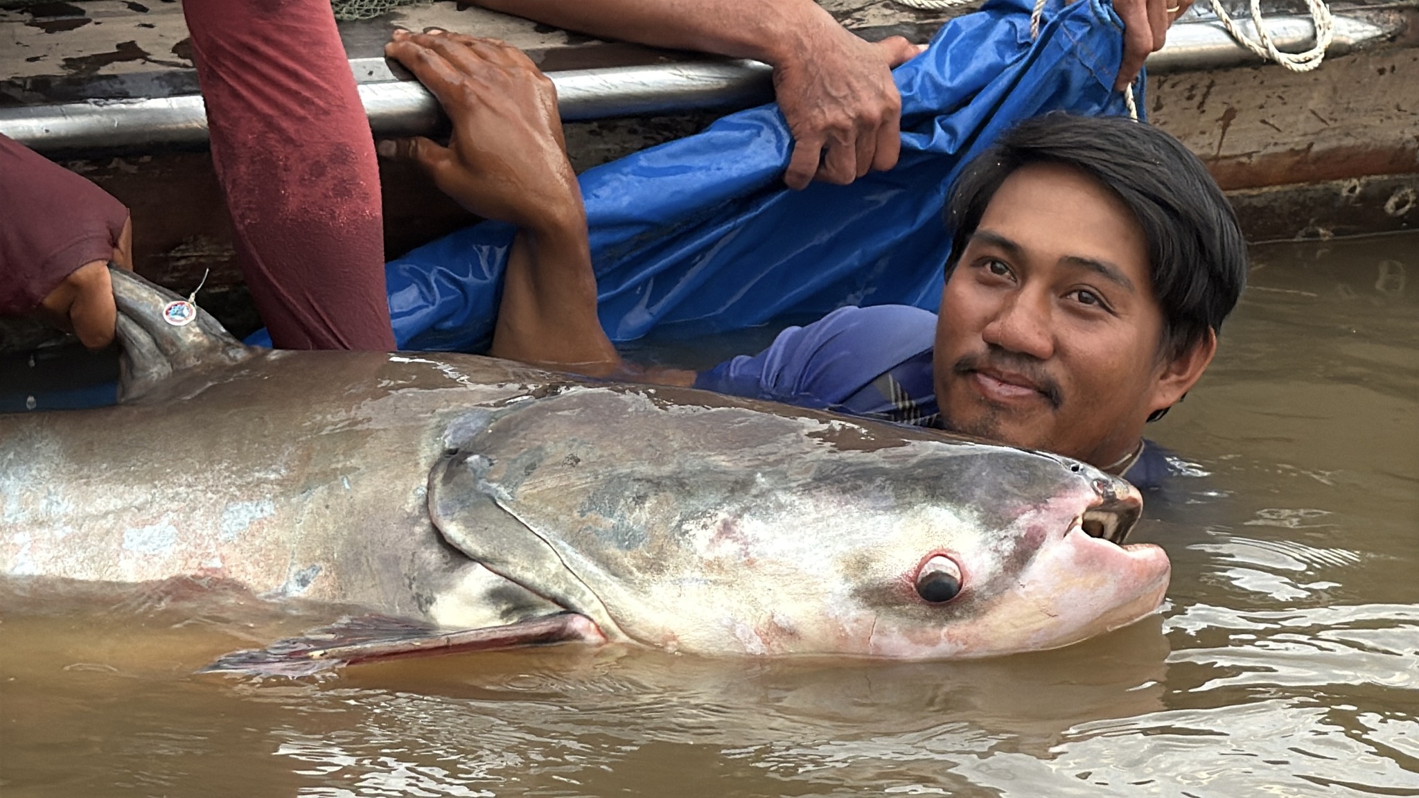 643413957_1229077582748073_6184284604481954508_n