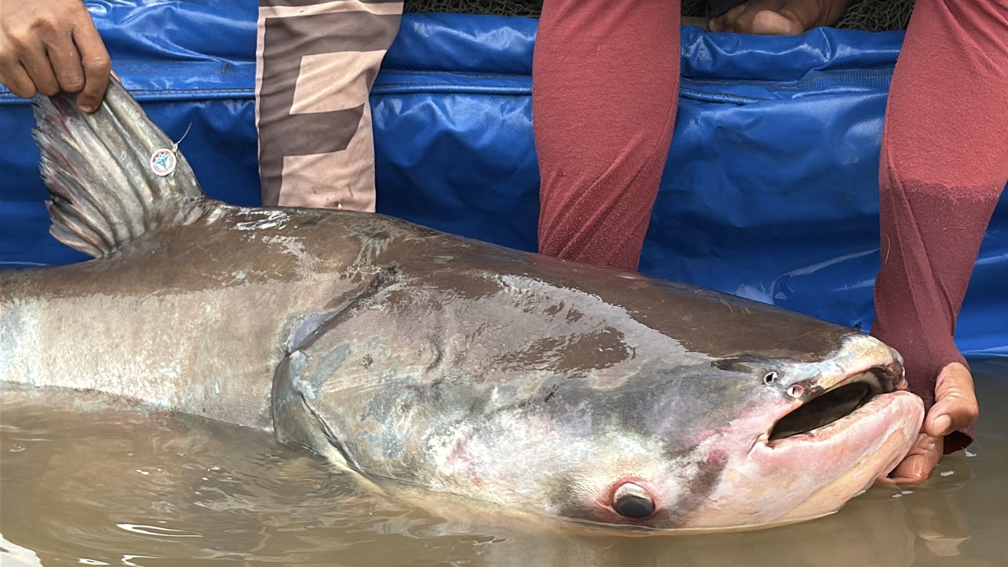 643469485_1229078612747970_3375730576103727925_n