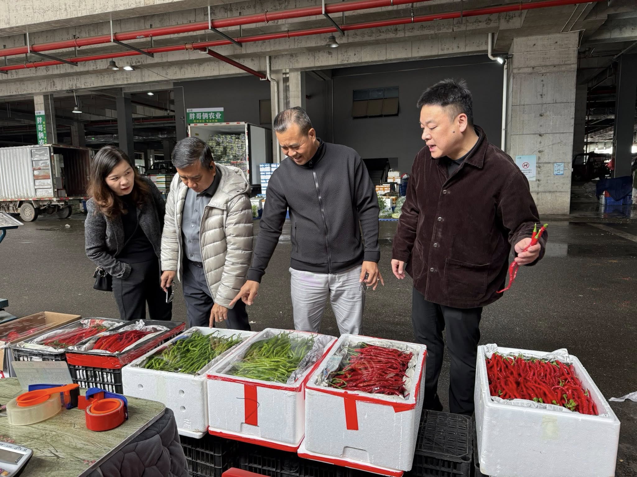 646926974_1377234674446817_7005448017059517078_n