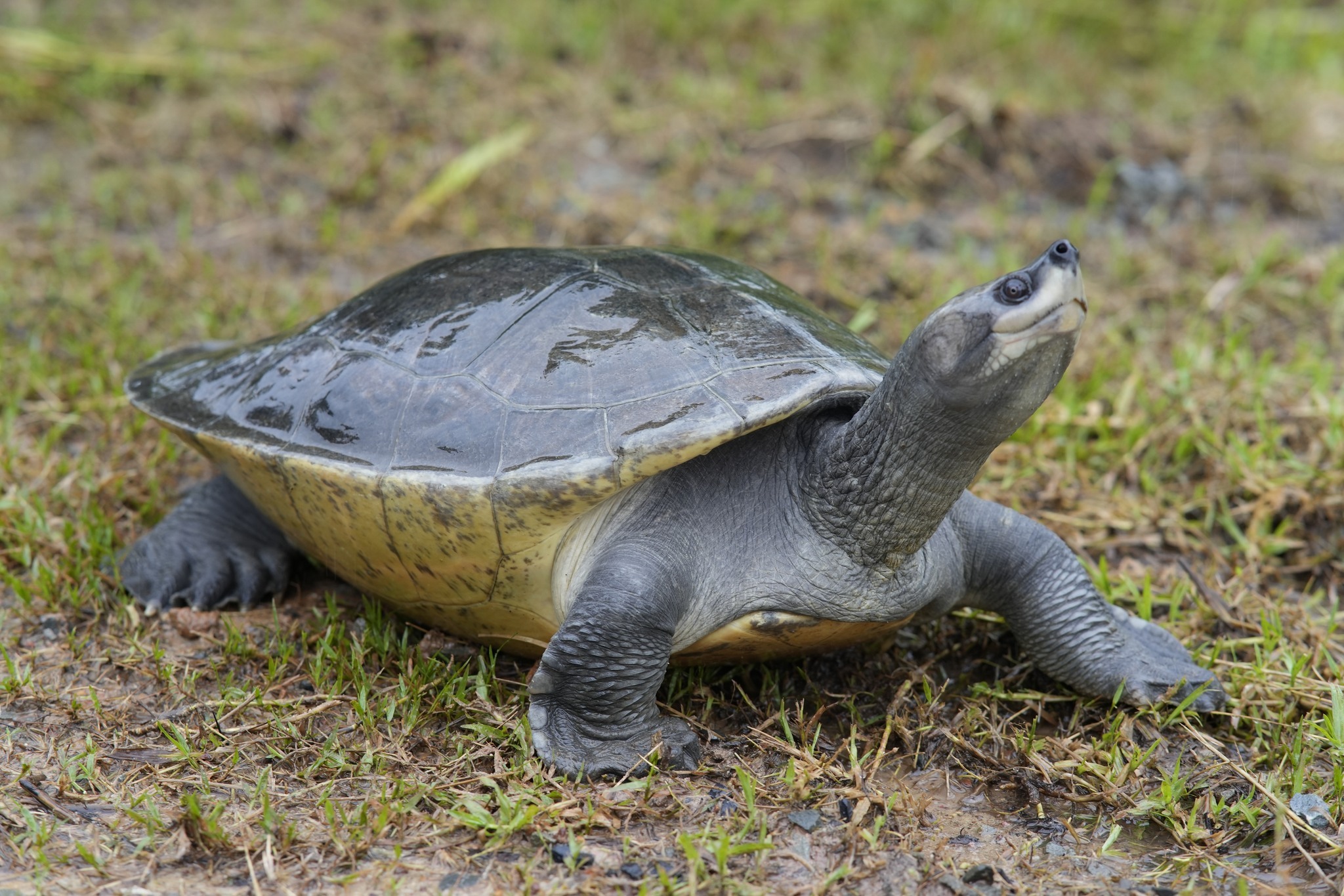 656052898_1375222477973567_317632924135031708_n