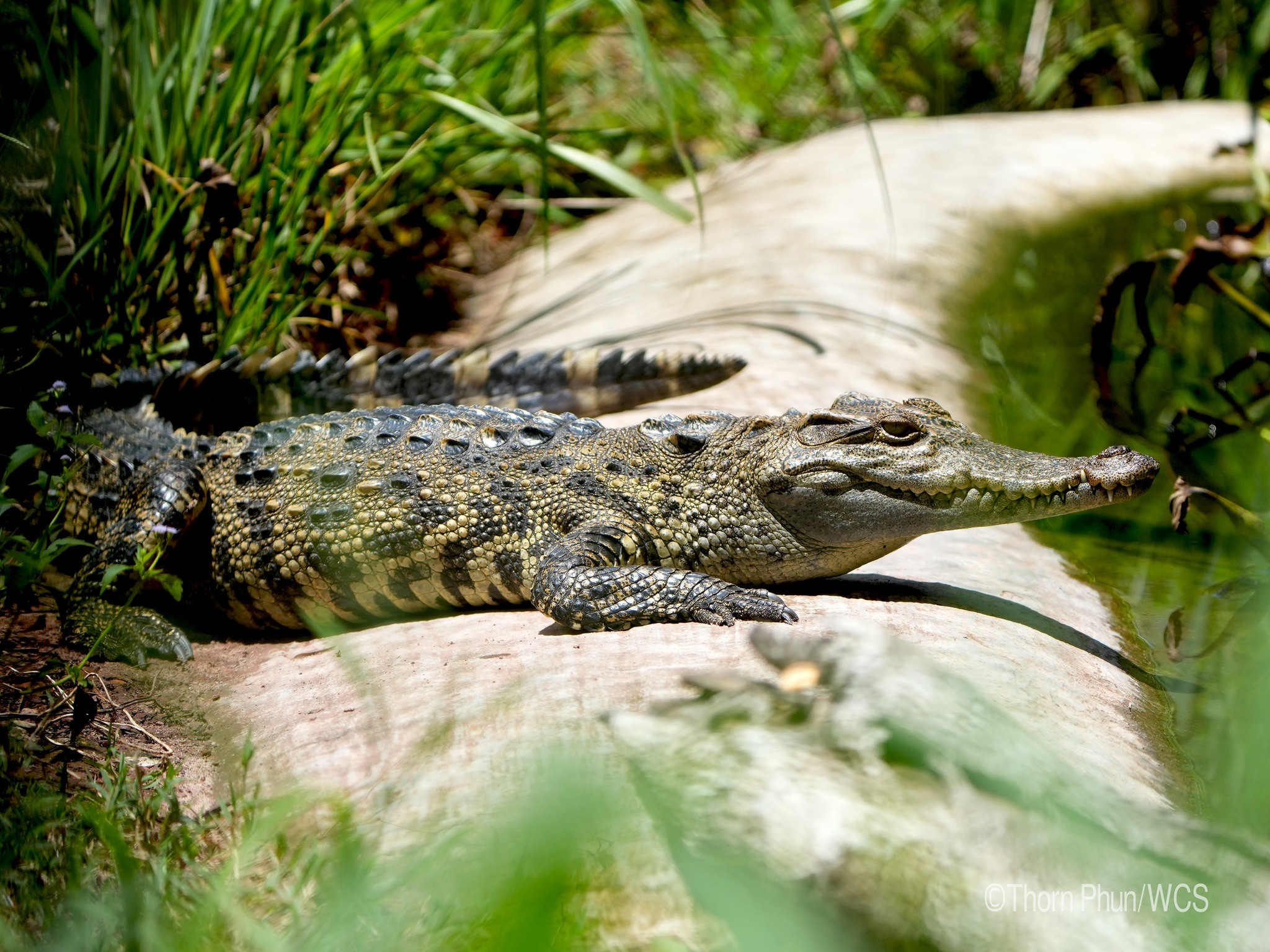 656924891_1375222967973518_4518512875356993854_n