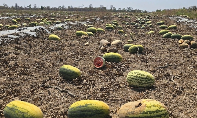 image_2026-03-02_09-27-31