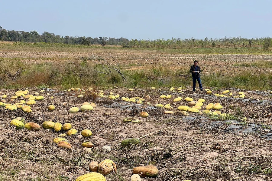 image_2026-03-02_09-28-12