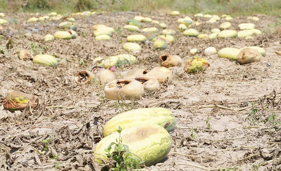 image_2026-03-02_09-29-13