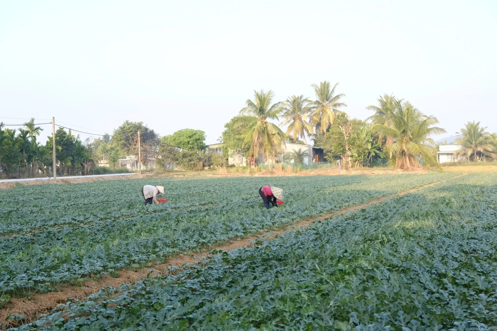 image_2026-03-02_09-35-33