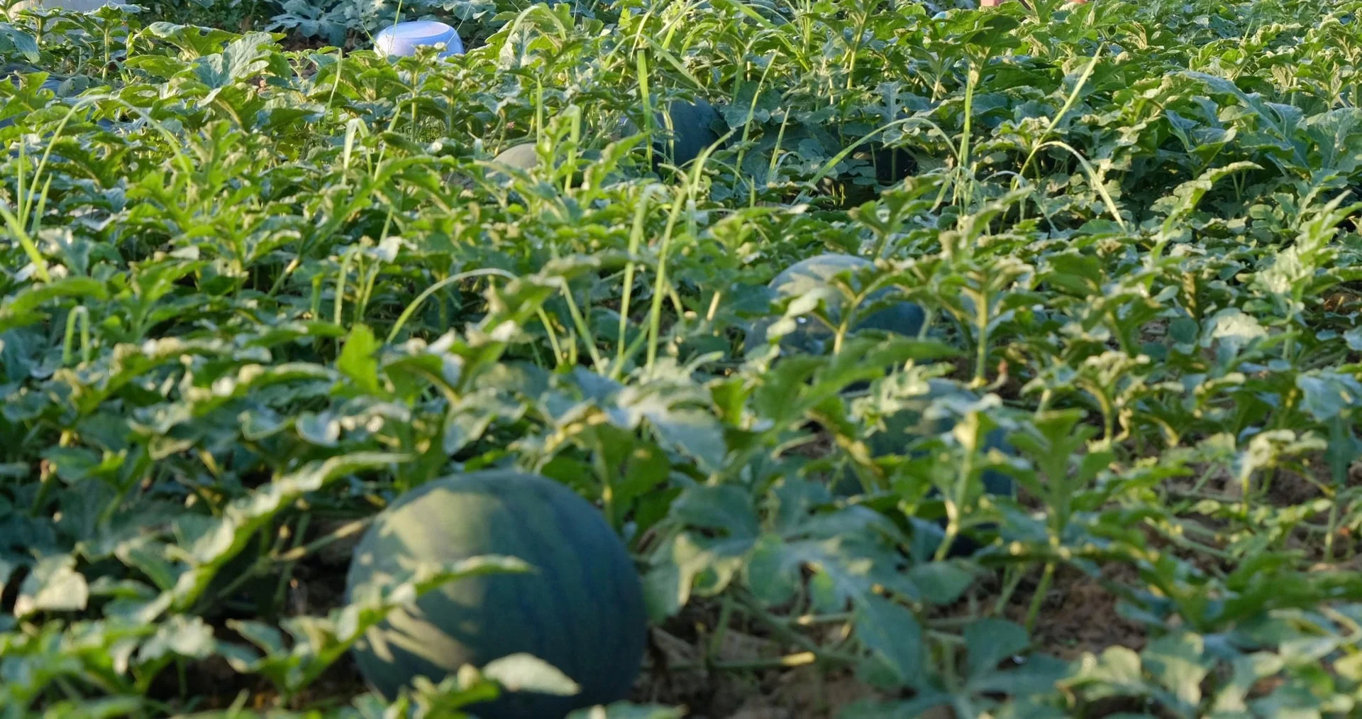 image_2026-03-02_09-38-10