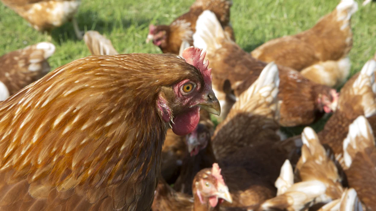 image_2026-03-04_09-28-04