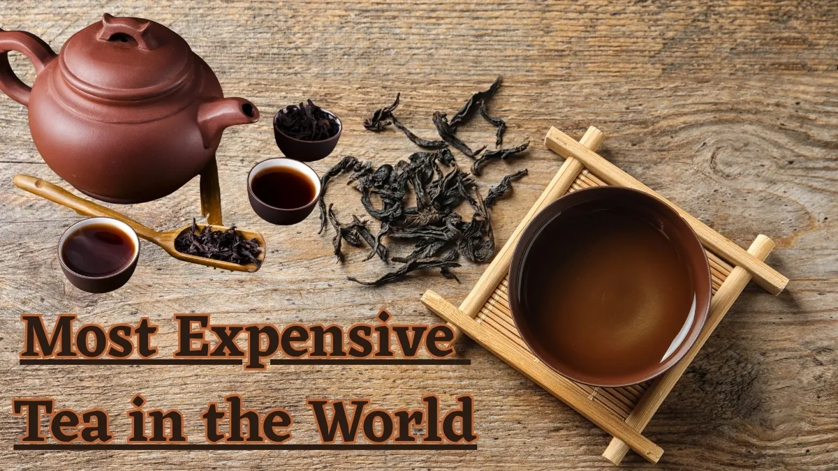 image_2026-03-09_10-18-28