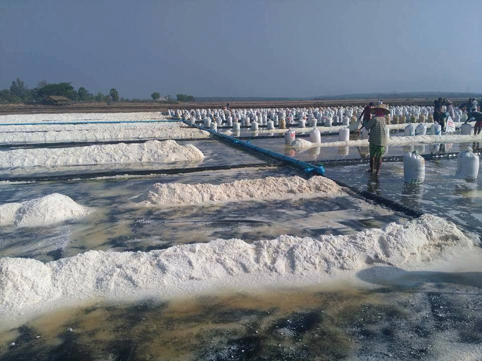 image_2026-03-12_10-01-30