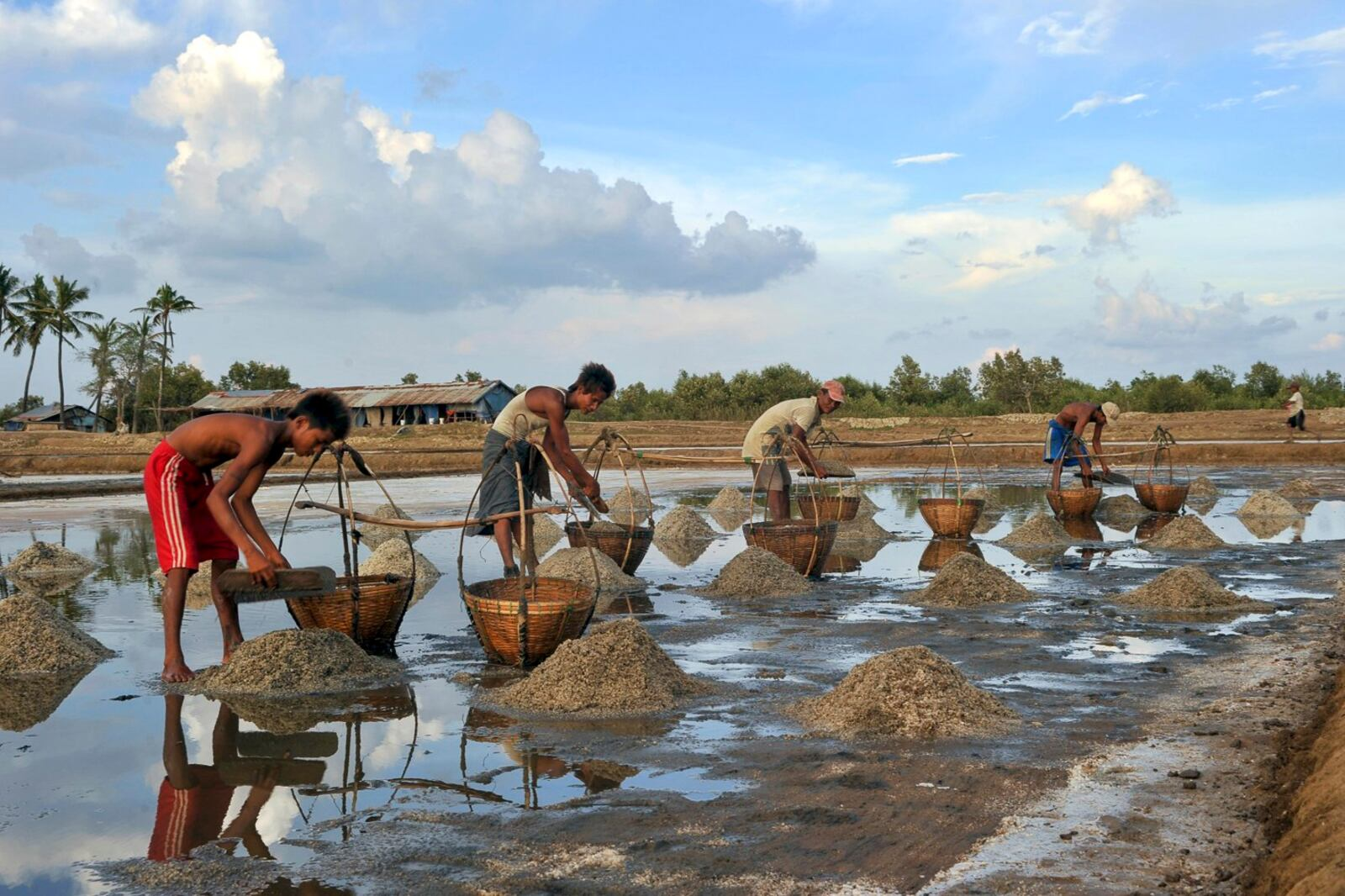 image_2026-03-12_10-09-47